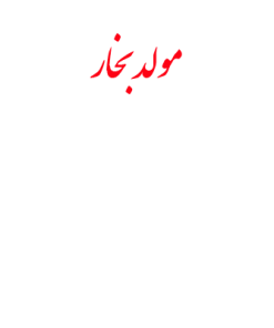 مولدهاي بخار بجز ديگهاي حرارت مركزي