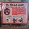 شرکت ماندگارنام